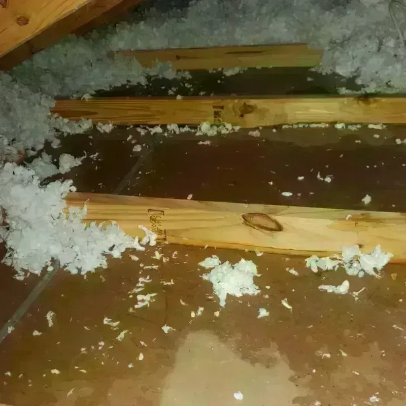 Attic Water Damage in Eagle Lake, TX