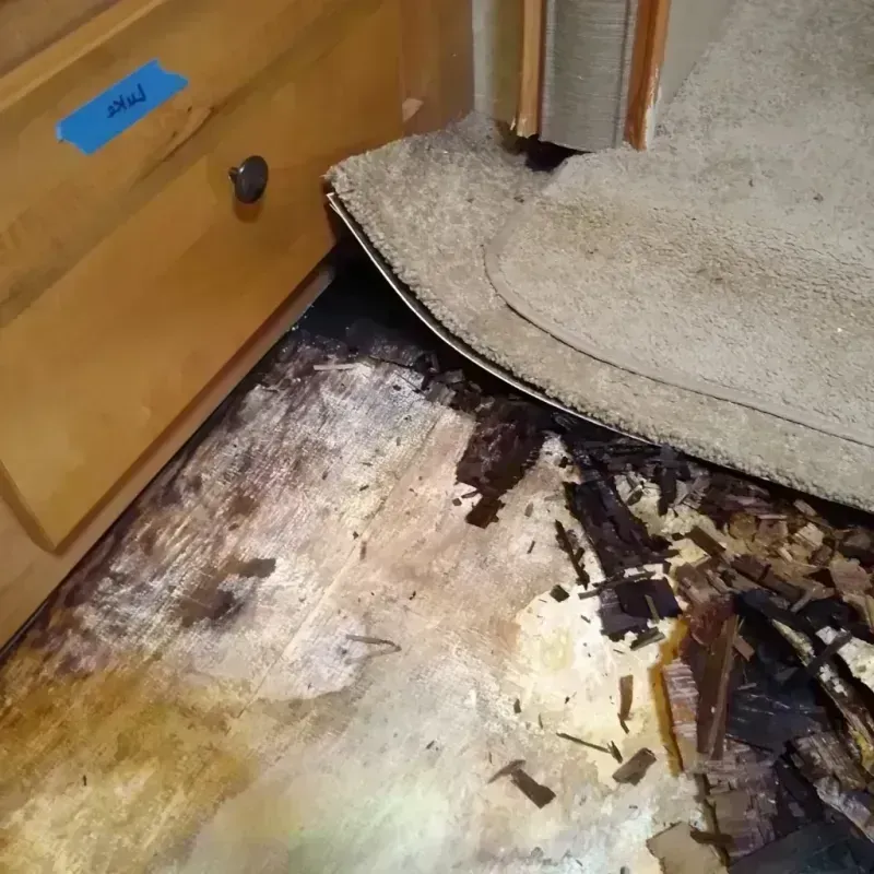 Wood Floor Water Damage in Eagle Lake, TX